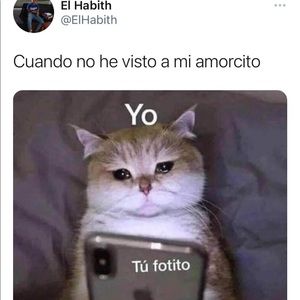 Meet your Posher, Felix